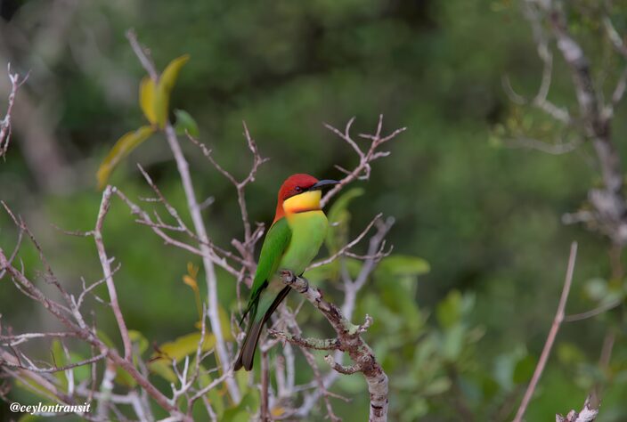 b5fe5b3e-fa86-4d54-a60f-d1f2386786d1