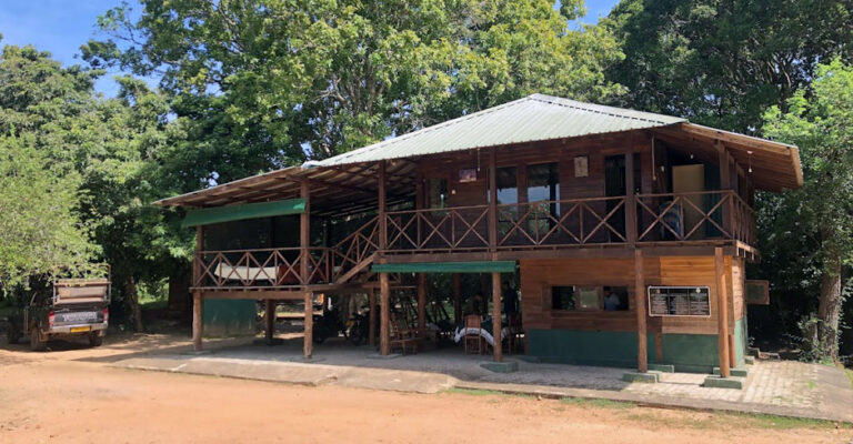 kuda-gal-amuna-bungalow