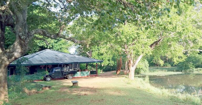 seenuggala-bungalow-udawalawe