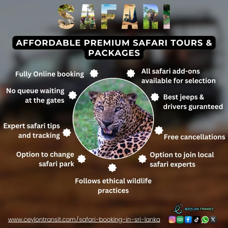 Affordable Safari Booking and Packages in Sri Lanka