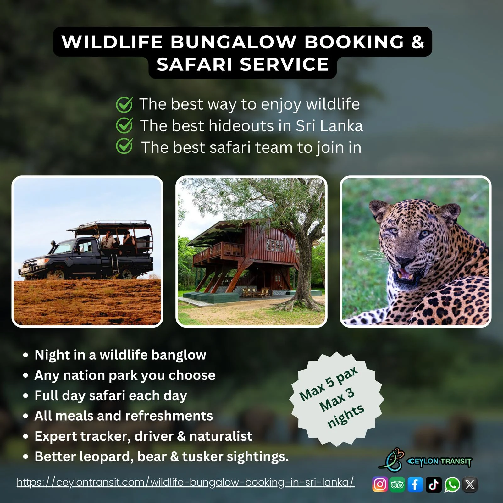 Wildlife Bungalow Booking and Safari