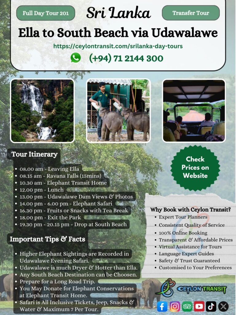 DT201_Ella_to_South_Beach_via_Udawalawe