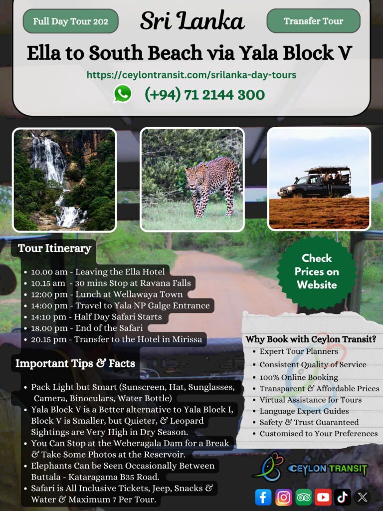 DT202_Ella_to_South_Beach_via_Yala_Block_V