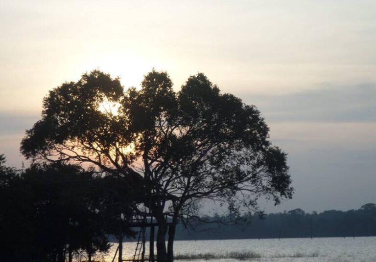 Ekgal oya Gal-Oya bungalow 01