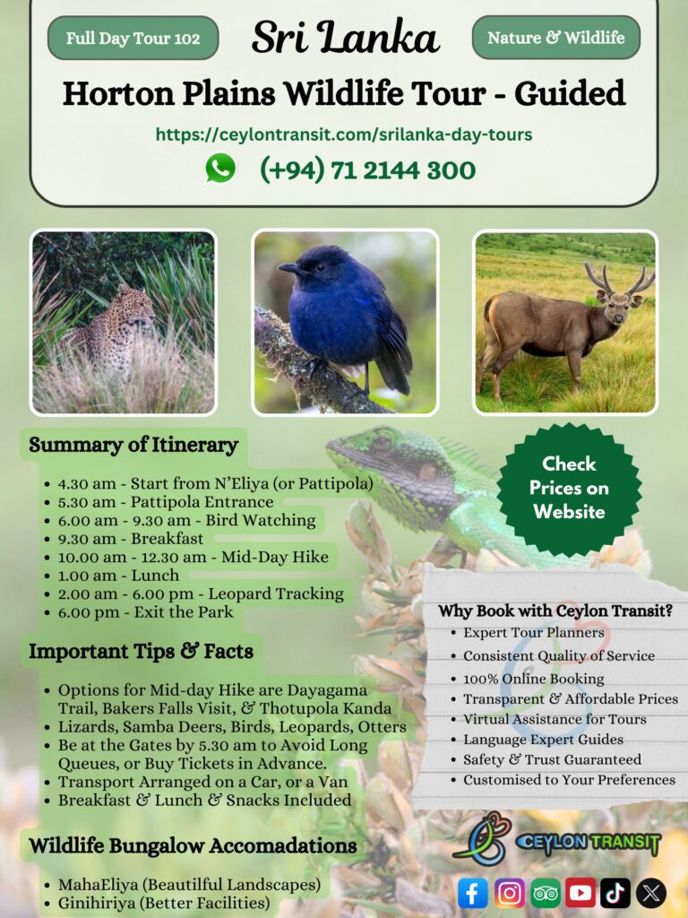 DT102_Horton_Plains_Birds_and_Wildlife