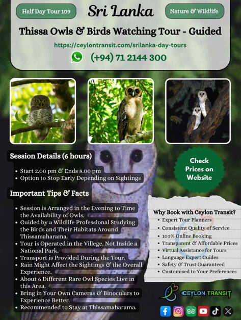 DT109_Thissa_Owls_and_Birds_Watching_Tour (2)