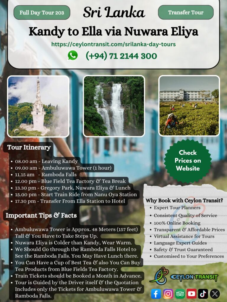 DT203_Kandy_to_Ella_Transfer_Tour