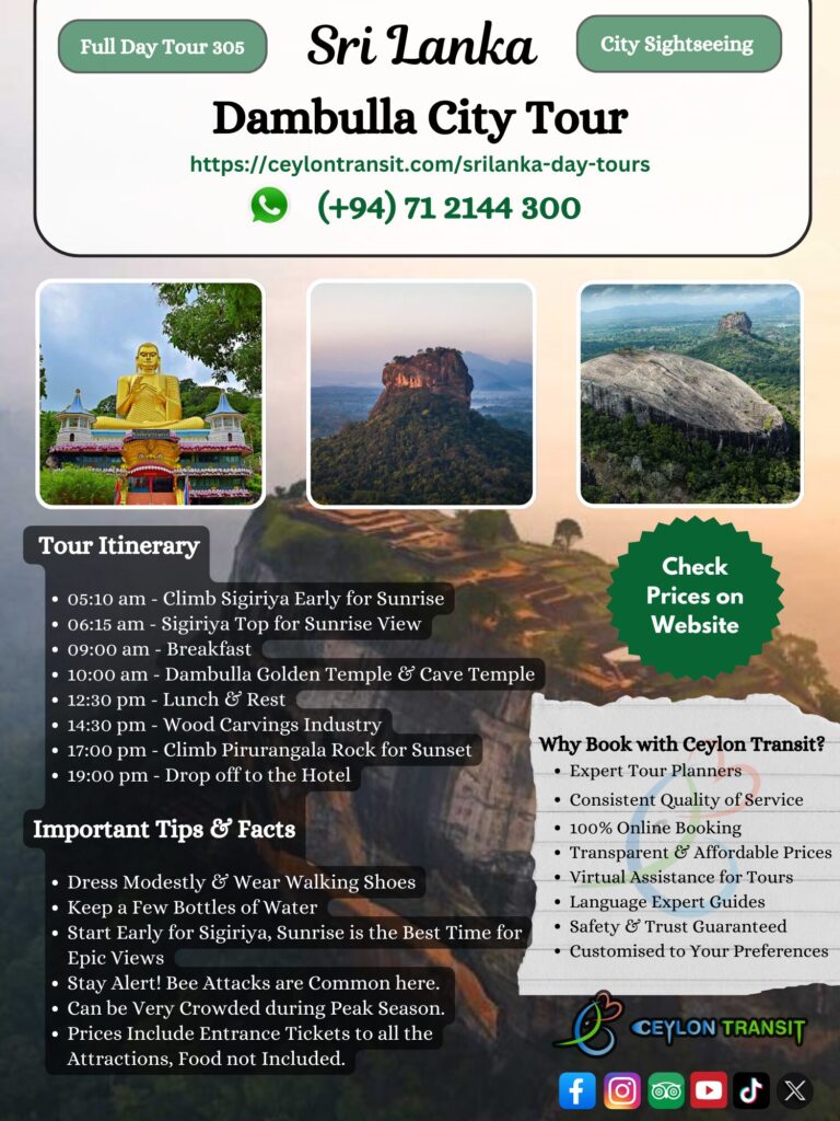 DT305_Dambulla_City_Tour