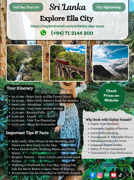 DT307_Expolre_Ella_City (2)