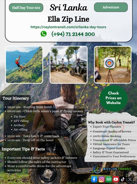 DT502_Ella_Zip_Line (2)