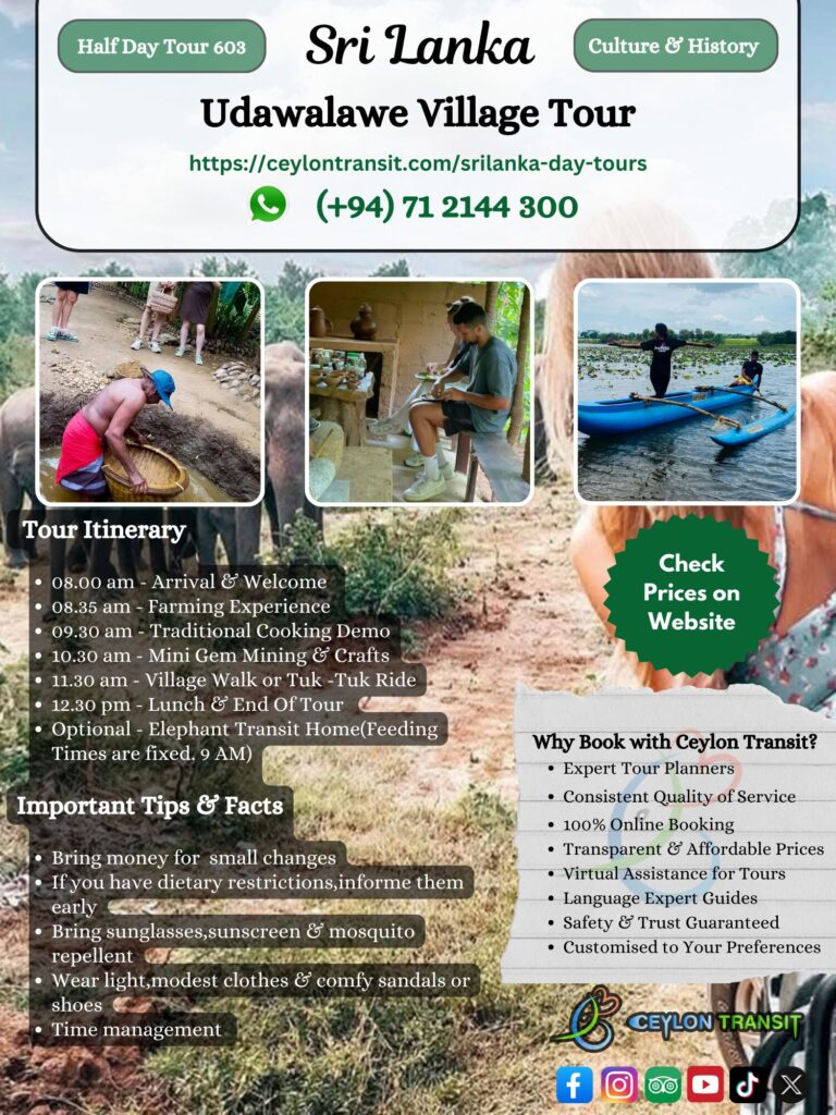 DT603_Udawalawe_Village_Tour