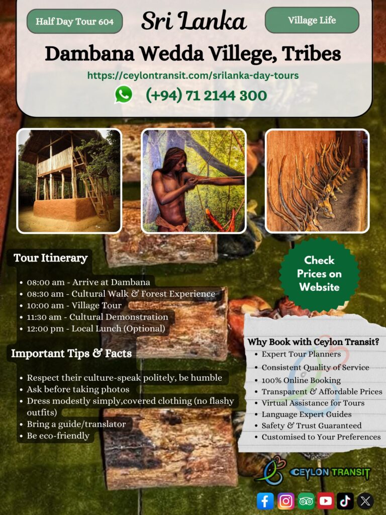 DT604_Mahiyanganaya_Village_Tour