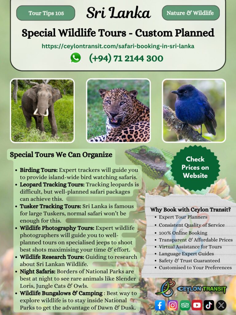 Tour Tips 105 - Special Wildlife Tours