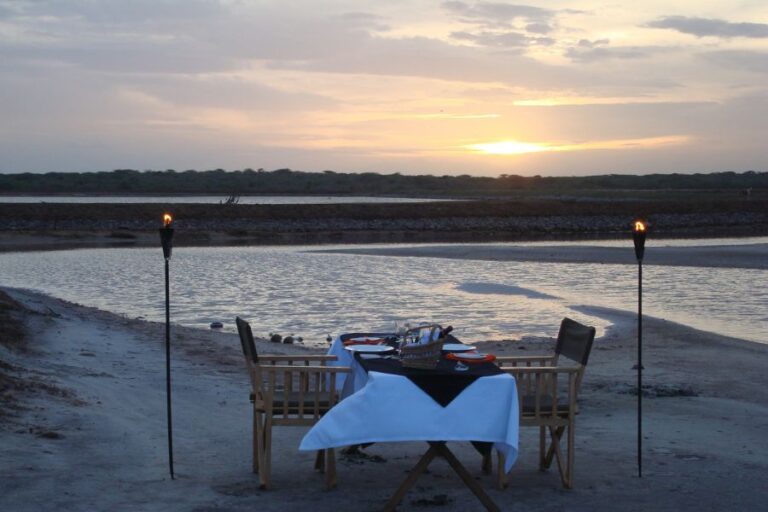 xr:d:DAGAM2n7Sdc:12,j:1522639222800654461,t:24032306